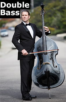 A man playing double bass