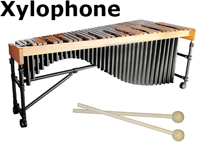 xylophone