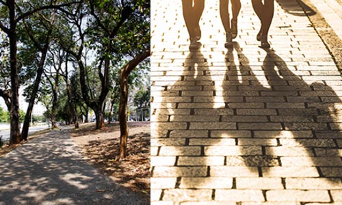shadows from people walking and shadows from trees